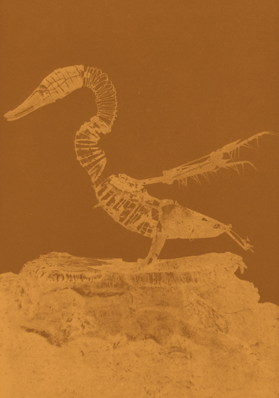 Vaucanson's Canard - Eric Williams